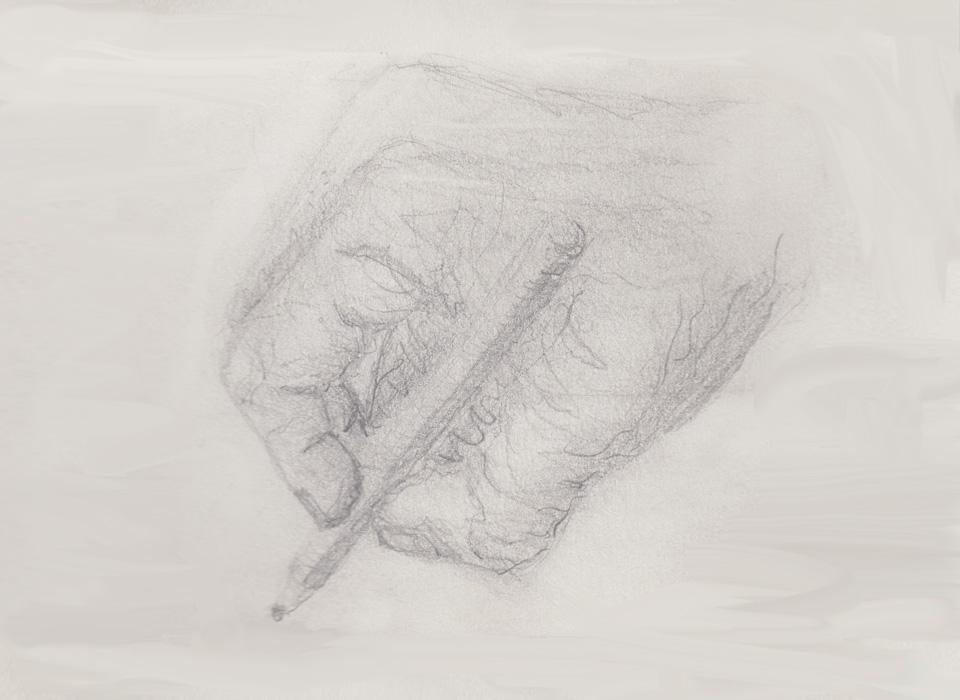 Andy Doodles Art